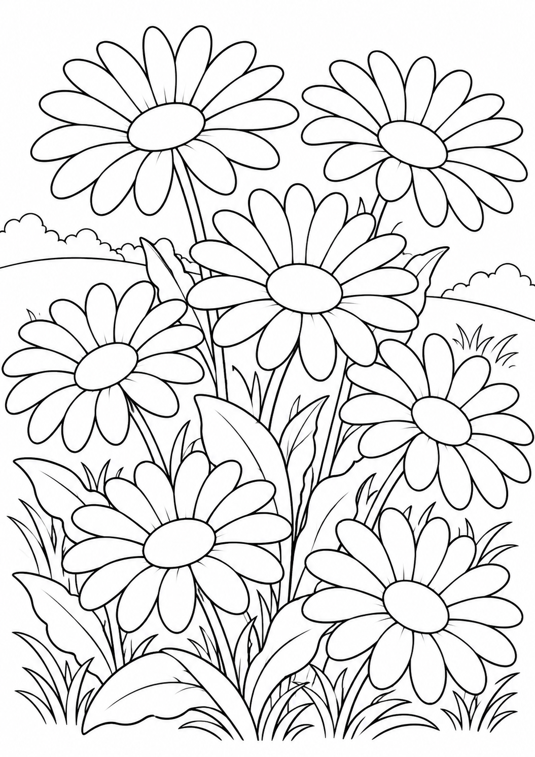 Daisies in the meadow